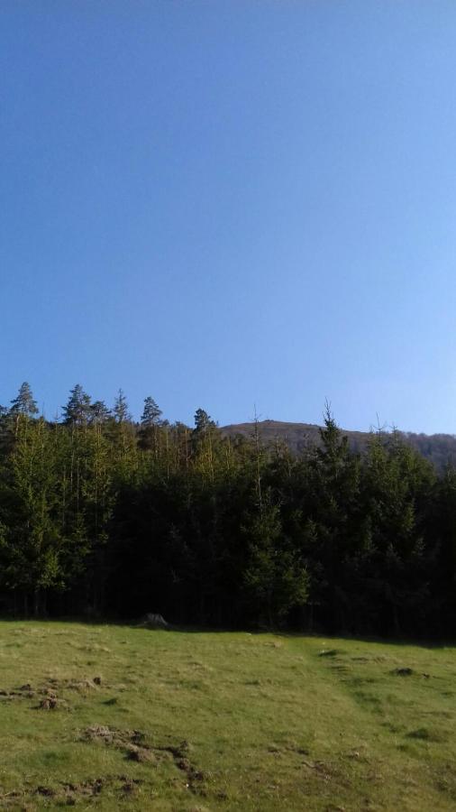 Над Вичов Volovets Exterior foto