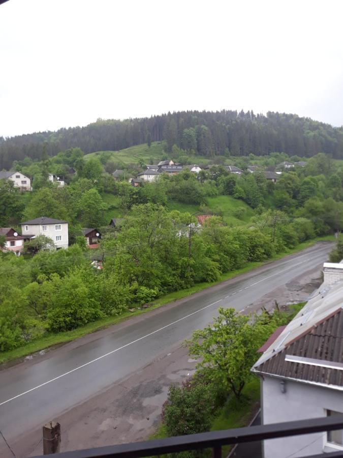 Над Вичов Volovets Exterior foto